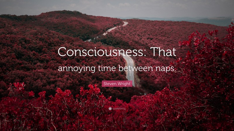 Steven Wright Quote: “Consciousness: That annoying time between naps.”