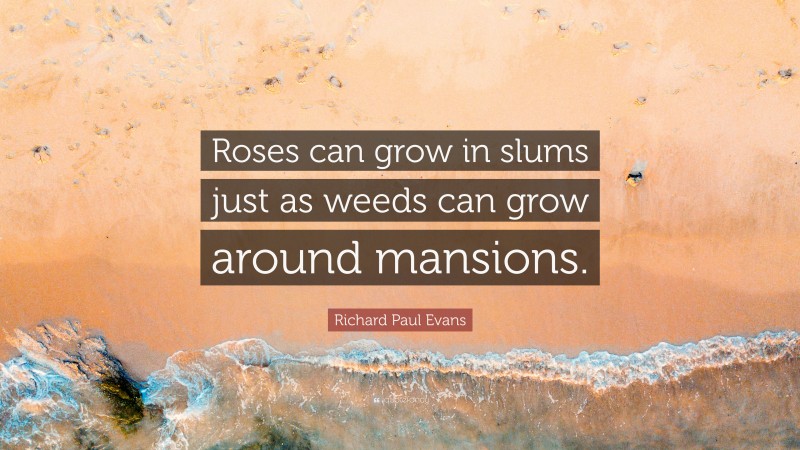 Richard Paul Evans Quote: “Roses can grow in slums just as weeds can grow around mansions.”