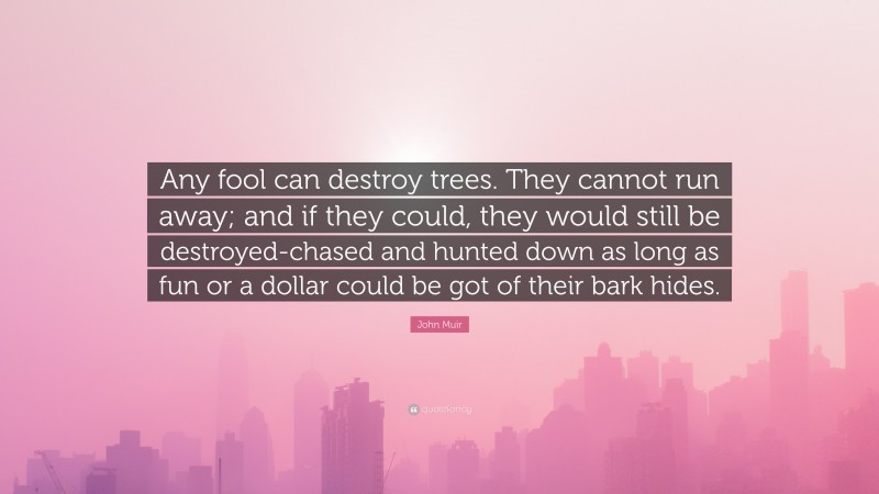 John Muir Quote: “Any fool can destroy trees. They cannot run away; and if they could, they would still be destroyed-chased and hunted down as long as fun or a dollar could be got of their bark hides.”