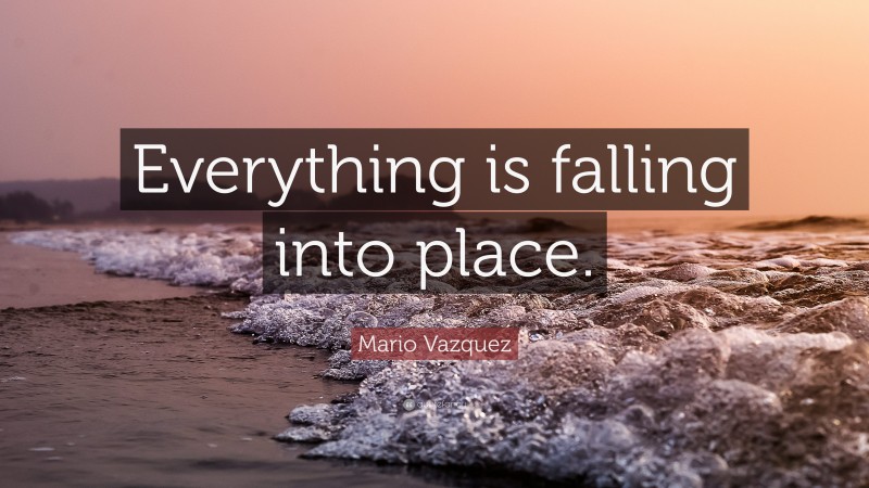 Mario Vazquez Quote: “Everything is falling into place.”