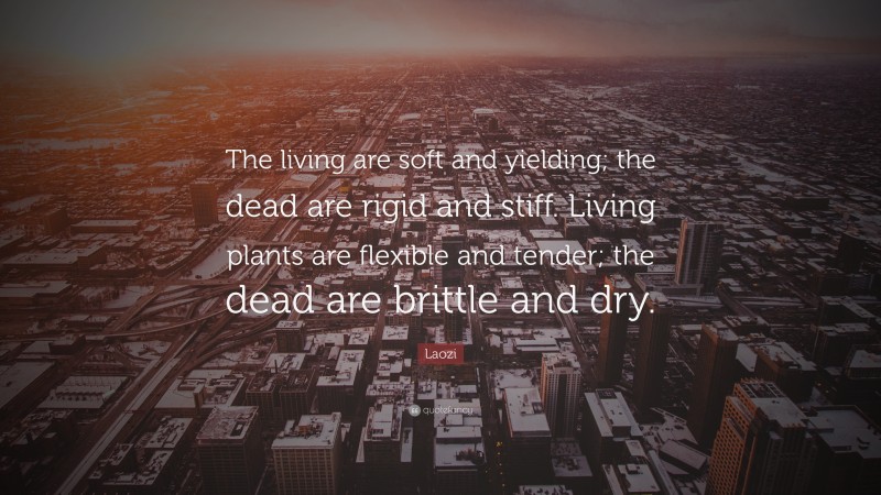 Laozi Quote: “The living are soft and yielding; the dead are rigid and stiff. Living plants are flexible and tender; the dead are brittle and dry.”