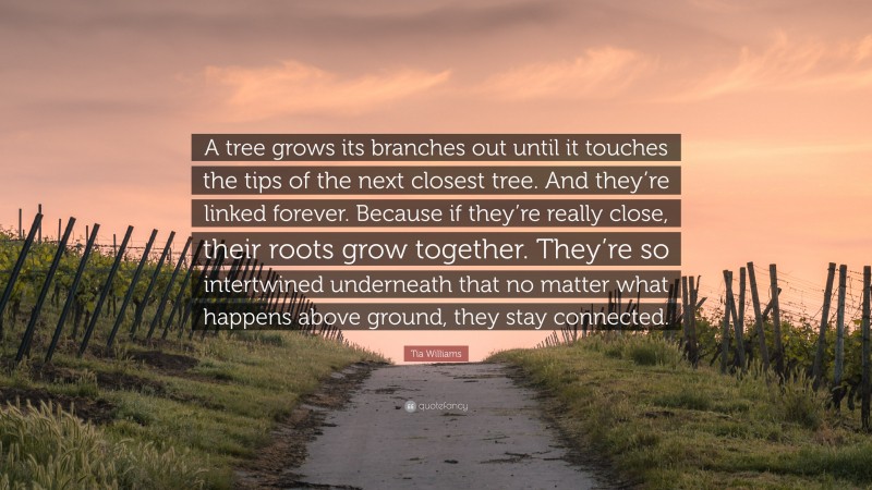 Tia Williams Quote: “A tree grows its branches out until it touches the tips of the next closest tree. And they’re linked forever. Because if they’re really close, their roots grow together. They’re so intertwined underneath that no matter what happens above ground, they stay connected.”