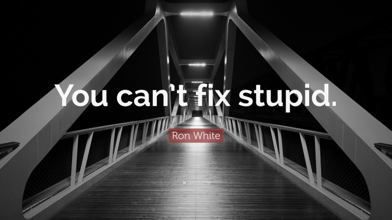 Ron White Quote: “You can’t fix stupid.”