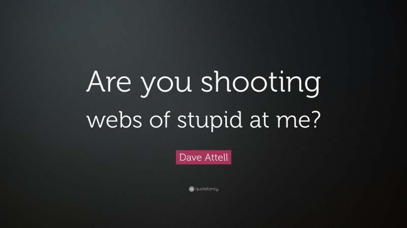 Dave Attell Quote: “Are you shooting webs of stupid at me?”
