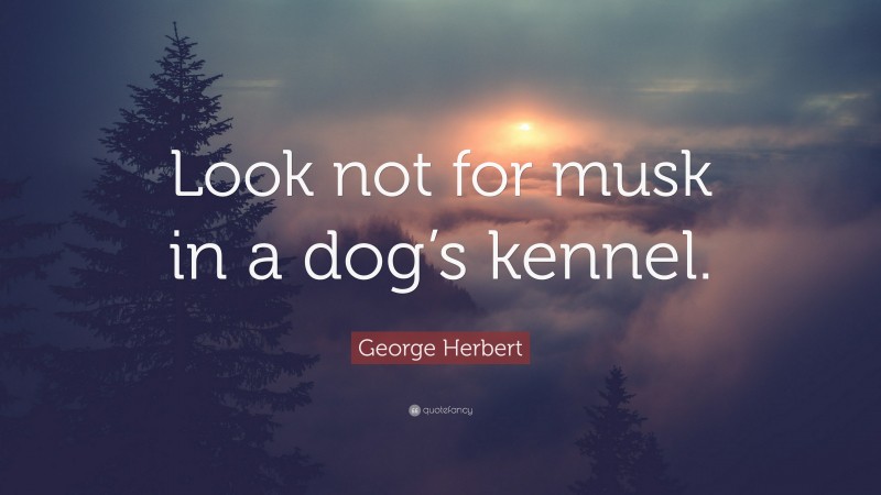 George Herbert Quote: “Look not for musk in a dog’s kennel.”