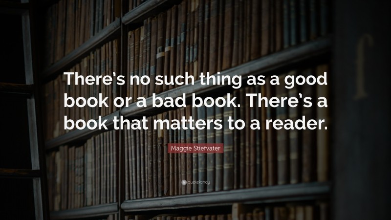 Maggie Stiefvater Quote: “There’s no such thing as a good book or a bad book. There’s a book that matters to a reader.”