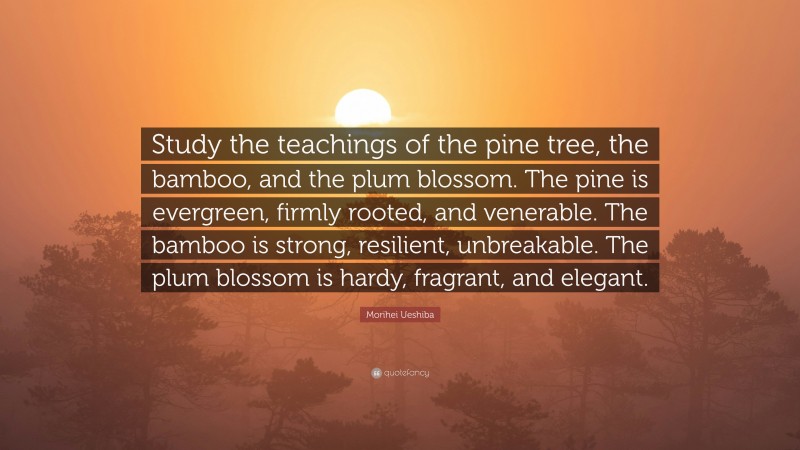 Morihei Ueshiba Quote: “Study the teachings of the pine tree, the bamboo, and the plum blossom. The pine is evergreen, firmly rooted, and venerable. The bamboo is strong, resilient, unbreakable. The plum blossom is hardy, fragrant, and elegant.”