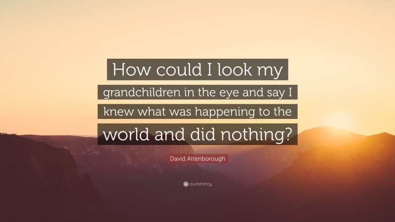 David Attenborough Quote: “How could I look my grandchildren in the eye and say I knew what was happening to the world and did nothing?”