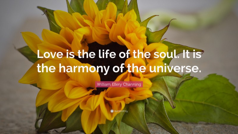 William Ellery Channing Quote: “Love is the life of the soul. It is the harmony of the universe.”