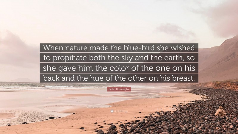 John Burroughs Quote: “When nature made the blue-bird she wished to propitiate both the sky and the earth, so she gave him the color of the one on his back and the hue of the other on his breast.”