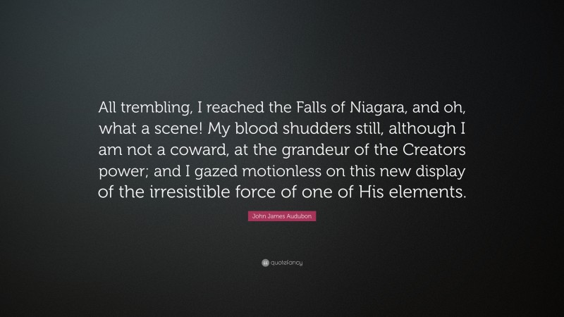 John James Audubon Quote: “All trembling, I reached the Falls of Niagara, and oh, what a scene! My blood shudders still, although I am not a coward, at the grandeur of the Creators power; and I gazed motionless on this new display of the irresistible force of one of His elements.”