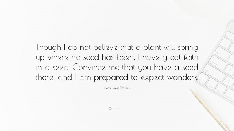 Henry David Thoreau Quote: “Though I do not believe that a plant will spring up where no seed has been, I have great faith in a seed. Convince me that you have a seed there, and I am prepared to expect wonders.”