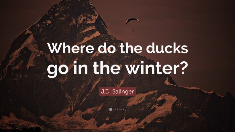 J.D. Salinger Quote: “Where do the ducks go in the winter?”