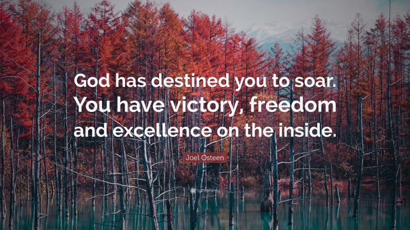 Joel Osteen Quote: “God has destined you to soar. You have victory, freedom and excellence on the inside.”