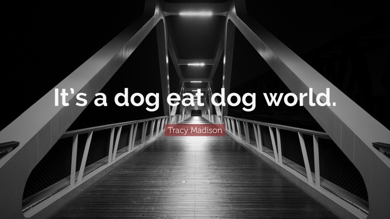 Tracy Madison Quote: “It’s a dog eat dog world.”