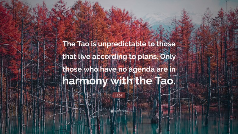 Laozi Quote: “The Tao is unpredictable to those that live according to plans. Only those who have no agenda are in harmony with the Tao.”