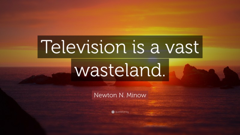 Newton N. Minow Quote: “Television is a vast wasteland.”