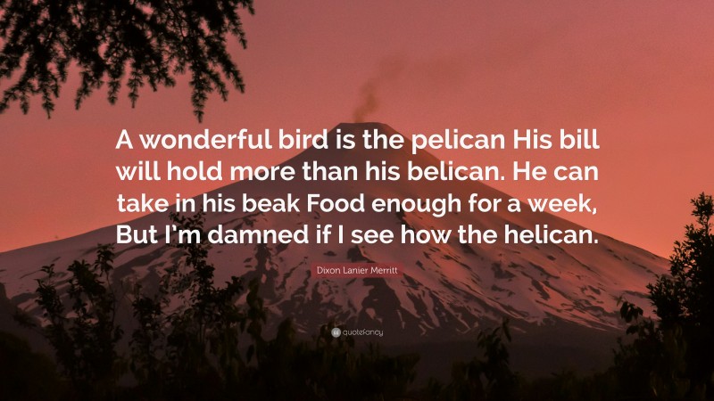 Dixon Lanier Merritt Quote: “A wonderful bird is the pelican His bill will hold more than his belican. He can take in his beak Food enough for a week, But I’m damned if I see how the helican.”