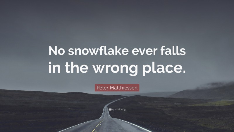 Peter Matthiessen Quote: “No snowflake ever falls in the wrong place.”