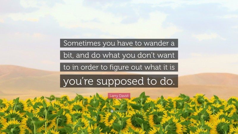 Larry David Quote: “Sometimes you have to wander a bit, and do what you don’t want to in order to figure out what it is you’re supposed to do.”