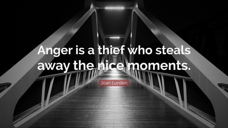 Joan Lunden Quote: “Anger is a thief who steals away the nice moments.”