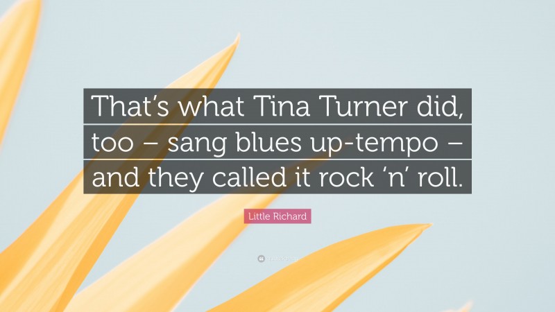 Little Richard Quote: “That’s what Tina Turner did, too – sang blues up-tempo – and they called it rock ‘n’ roll.”