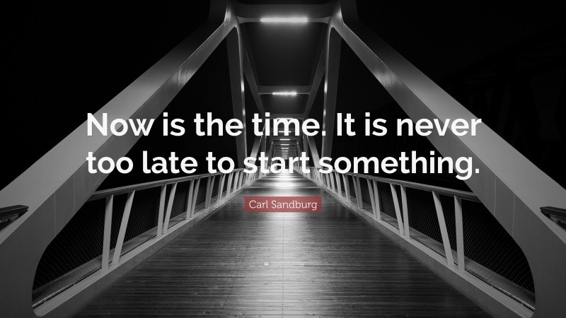 Carl Sandburg Quote: “Now is the time. It is never too late to start something.”