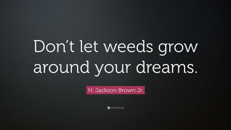 H. Jackson Brown Jr. Quote: “Don’t let weeds grow around your dreams.”