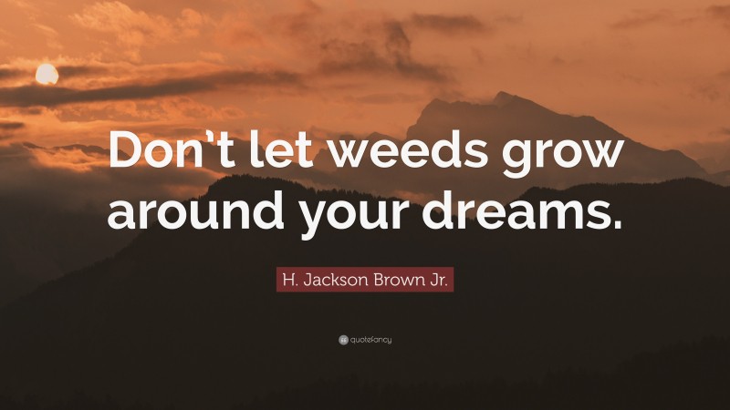 H. Jackson Brown Jr. Quote: “Don’t let weeds grow around your dreams.”
