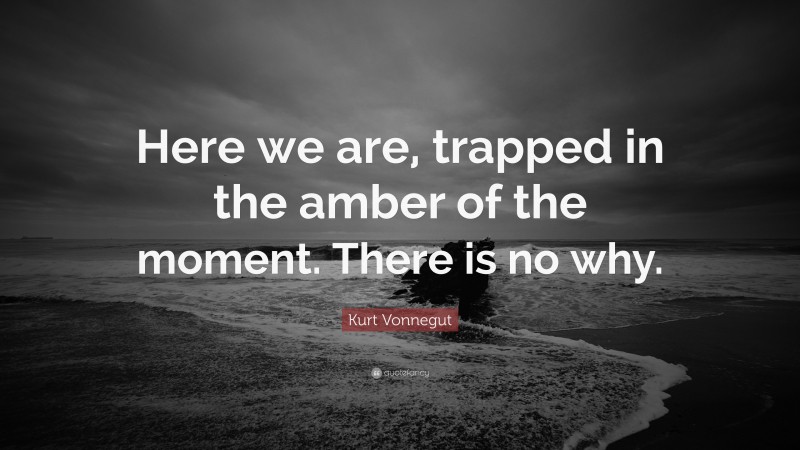 Kurt Vonnegut Quote: “Here we are, trapped in the amber of the moment. There is no why.”