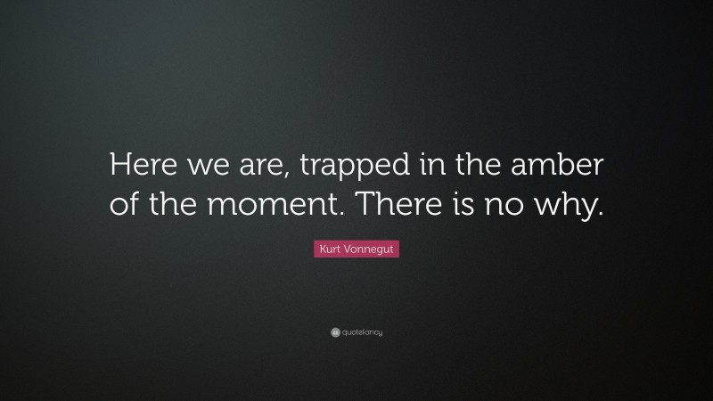 Kurt Vonnegut Quote: “Here we are, trapped in the amber of the moment. There is no why.”