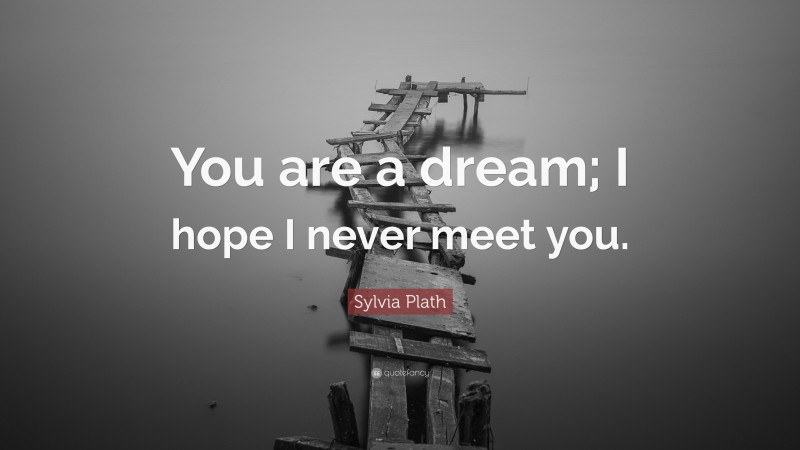 Sylvia Plath Quote: “You are a dream; I hope I never meet you.”