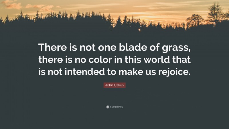 John Calvin Quote: “There is not one blade of grass, there is no color in this world that is not intended to make us rejoice.”
