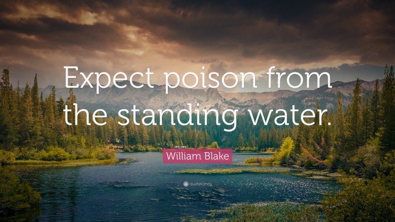 William Blake Quote: “Expect poison from the standing water.”