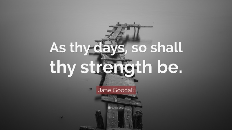 Jane Goodall Quote: “As thy days, so shall thy strength be.”