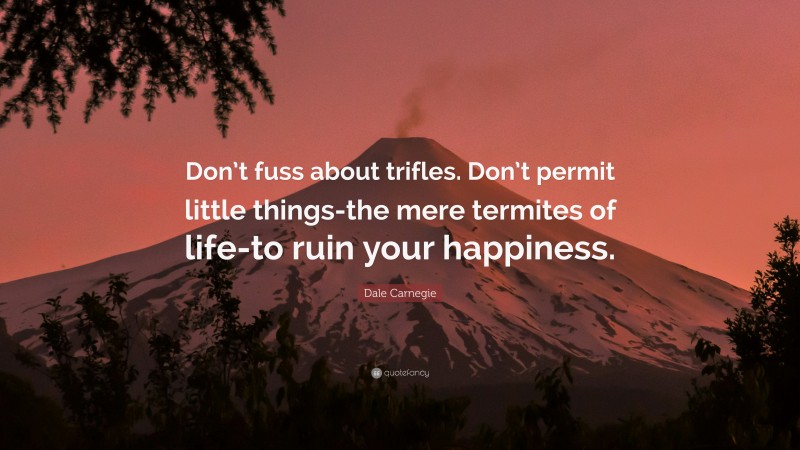 Dale Carnegie Quote: “Don’t fuss about trifles. Don’t permit little things-the mere termites of life-to ruin your happiness.”