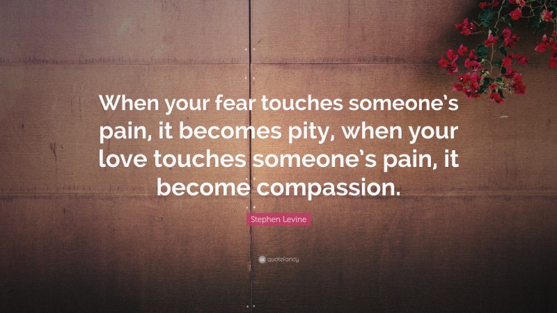 Stephen Levine Quote: “When your fear touches someone’s pain, it becomes pity, when your love touches someone’s pain, it become compassion.”