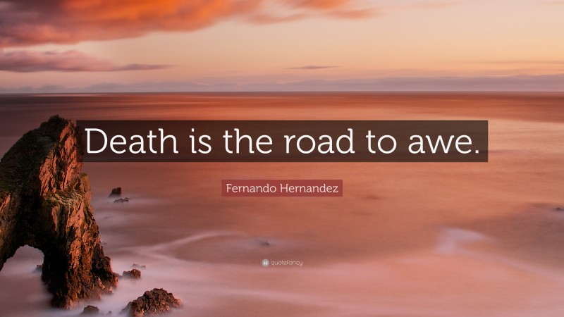 Fernando Hernandez Quote: “Death is the road to awe.”