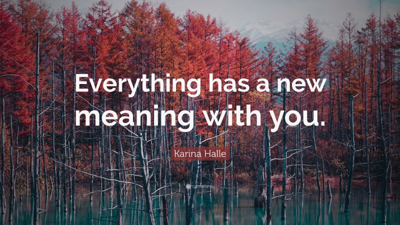 Karina Halle Quote: “Everything has a new meaning with you.”