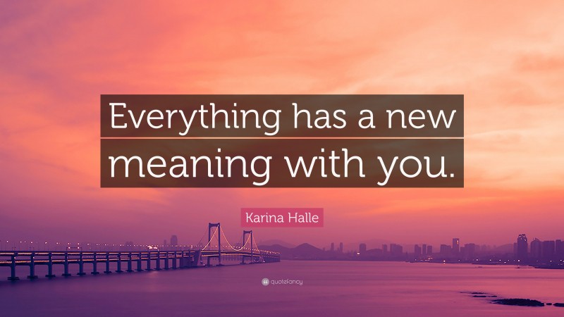 Karina Halle Quote: “Everything has a new meaning with you.”
