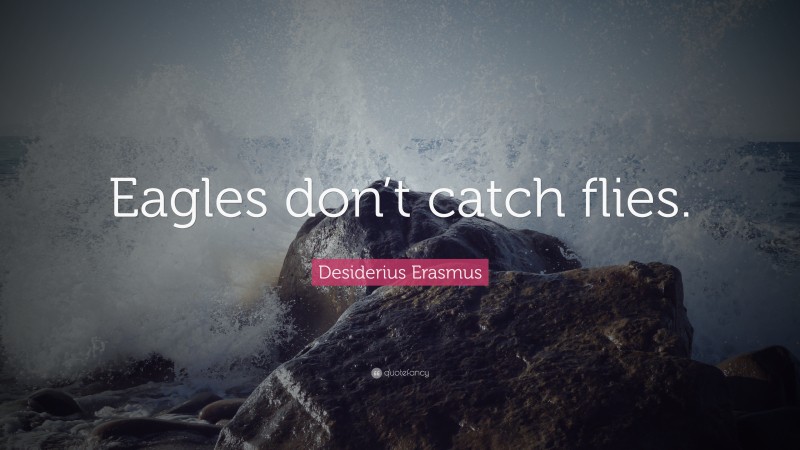 Desiderius Erasmus Quote: “Eagles don’t catch flies.”