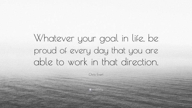 Chris Evert Quote: “Whatever your goal in life, be proud of every day that you are able to work in that direction.”