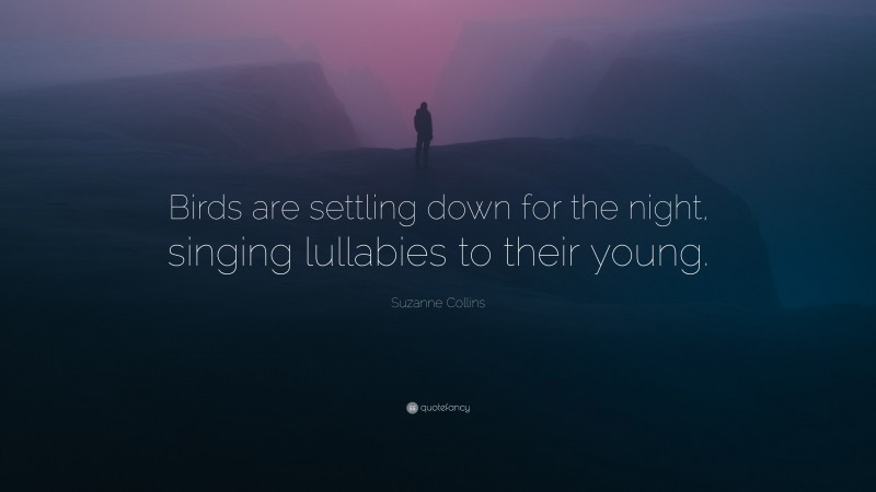 Suzanne Collins Quote: “Birds are settling down for the night, singing lullabies to their young.”
