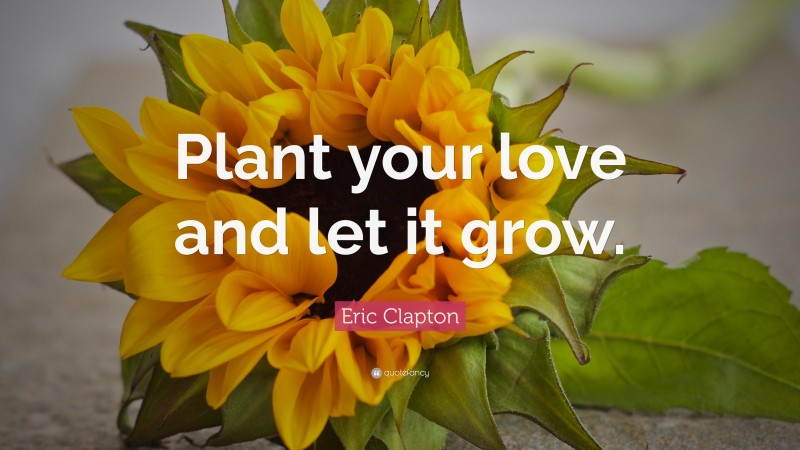Eric Clapton Quote: “Plant your love and let it grow.”