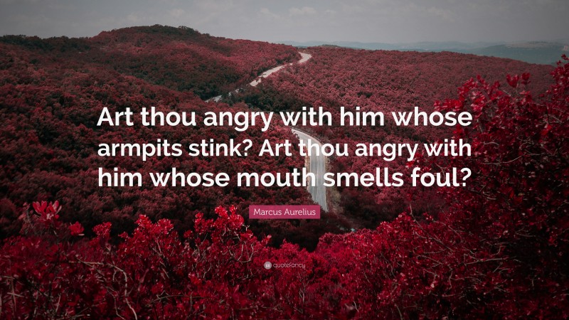 Marcus Aurelius Quote: “Art thou angry with him whose armpits stink? Art thou angry with him whose mouth smells foul?”