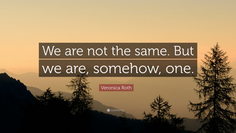 Veronica Roth Quote: “We are not the same. But we are, somehow, one.”