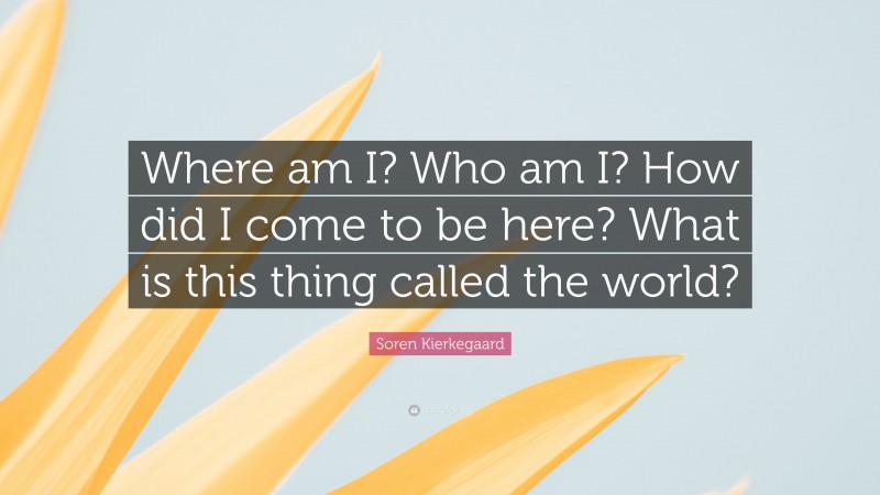 Soren Kierkegaard Quote: “Where am I? Who am I? How did I come to be here? What is this thing called the world?”