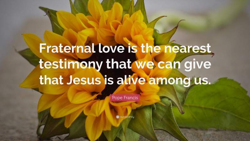Pope Francis Quote: “Fraternal love is the nearest testimony that we can give that Jesus is alive among us.”