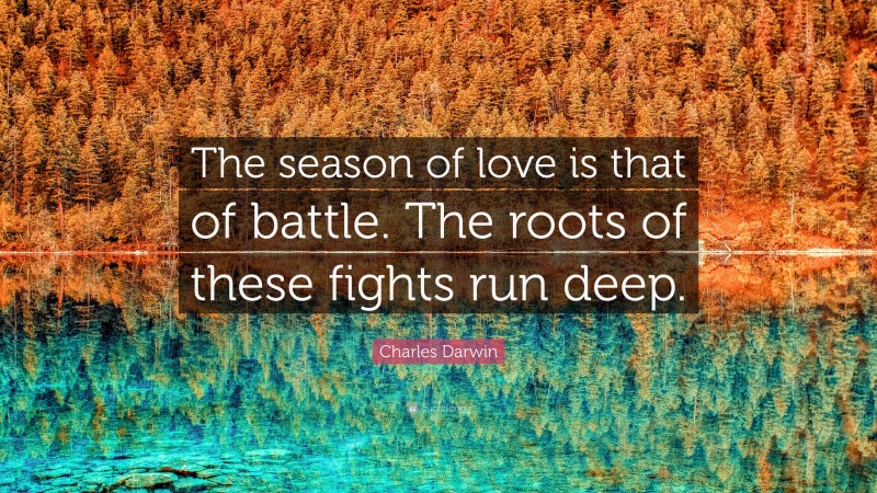 Charles Darwin Quote: “The season of love is that of battle. The roots of these fights run deep.”
