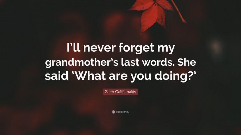 Zach Galifianakis Quote: “I’ll never forget my grandmother’s last words. She said ‘What are you doing?’”